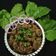 Keshma Raichura's cooksnap of when they made પાલક ના મુઠીયા (Palak Muthia Recipe In Gujarati).