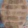 El cooksnap de @Arielbig cuando hizo Postre con vainillas.