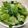 蠟筆 的 嫩炒高麗菜心 cooksnap