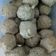 Cooksnap dari Ra untuk resep Bakso Sapi asli kenyal