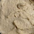 Cooksnap από Irene Pag στη συνταγή Ο ταραμάς μας