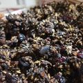 El cooksnap de Lobelia Quinn cuando hizo Keto - Granola.