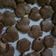 Cooksnap dari Khadija Firdaus untuk resep Milo Cookies