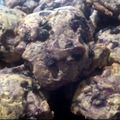 Gorda Ramsey's cooksnap of when they made Crispy Gooey Blueberry Cookies.