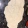 El cooksnap de Alicia Yunis cuando hizo 🇦🇷 MASA para EMPANADAS con opción vegana (Argentina).