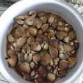 Cooksnap dari Nuke Diyah untuk resep Kerang dara sauce tiram