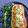 El cooksnap de Susana cuando hizo Calabaza rellena al horno.