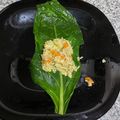 El cooksnap de Ivan Buendia cuando hizo Rollitos de acelga de arroz, verduras y wakame con salsa curry.