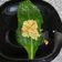 El cooksnap de Ivan Buendia cuando hizo Rollitos de acelga de arroz, verduras y wakame con salsa curry.