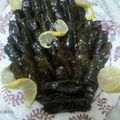 صورة من الأمل بالله❤️، شاركها بعد تجربة وصفة محشي كوسا وباذنجان بالبرغل