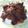 Cooksnap dari Shinta Simanjuntak untuk resep Rendang Daging