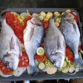 Cooksnap από Lola Subashi Tollumi στη συνταγή Τσιπούρα με λαχανικά στο φούρνο