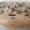 El cooksnap de marina cuando hizo Shortbread con trocitos de chocolate.