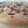 El cooksnap de marina cuando hizo Shortbread con trocitos de chocolate.