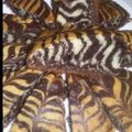 صورة من أم زياد وجواد، شاركها بعد تجربة وصفة كيكة الزيبرا