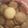 El cooksnap de MARIADELMARROSA82 cuando hizo Galletas fáciles de 3 ingredientes.