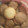El cooksnap de MARIADELMARROSA82 cuando hizo Galletas fáciles de 3 ingredientes.