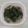Cooksnap dari Indera Utami untuk resep Bobor Daun Singkong
