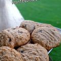 El cooksnap de Gloria Tonin cuando hizo Galletas de Mantequilla de Maní 🥜 muy fácil.