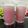 Shilpa Shah's cooksnap of when they made દાડમ જ્યુસ(pomegranate juice recipe in gujarati).