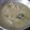 Cooksnap dari silvichipy untuk resep Opor Ayam