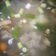 Cooksnap dari Apiik Armayanto untuk resep Sop Daging & Iga Sapi Simple