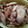 El cooksnap de Angélica cuando hizo Pollo apanado.