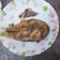 劉興偉 的 煎鮭魚 cooksnap