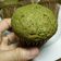 Cooksnap của Đinh Thị Kim Anh khi họ làm theo món Muffin trà xanh đêm muộn