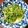 Lin Shu Jhen 的 蒜炒豆苗 cooksnap