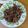蕭尹霖 的 蒜香蜜汁梅花肉 cooksnap