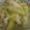 Rita 的 炒絲瓜 cooksnap