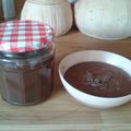 RideTheLightning's cooksnap of when they made Vickys Homemade Nutella / NO NUT Chocolate Spread GF DF EF SF NF.