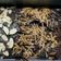 Cooksnap dari Tika untuk resep Brownies Panggang