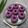 Cooksnap dari Erlina untuk resep Puding ubi ungu