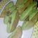 Cooksnap dari Arnianti Hasram untuk resep Kue Pukis Bulat Pandan Coklat #pr_olahancoklat
