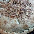 El cooksnap de anidominguezcordoba cuando hizo Tarta de brócoli y queso.
