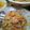Cooksnap dari Iwie untuk resep Nasi goreng yang chow ala fe
