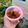 รูป Cooksnap ของ วิลัน เมื่อเขาทำ กัมมี่เยลลี่รสกาแฟ ชาเขียว ชาไทย