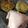 El cooksnap de Mariana Heredia cuando hizo Croquetas de acelga y avena al horno.