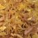 Cooksnap dari Andriyani Arifin untuk resep Bihun goreng