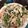 El cooksnap de jamitza_eva@hotmail.com cuando hizo Ensalada cesar😍.