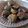 SHYAMALI MUKHERJEE's cooksnap of when they made ধনে পাতার বড়া (dhone patar bora recipe in bengali).