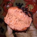 Cooksnap dari Diah Pohan untuk resep Pukis menul, lembut,anti gagal 😉