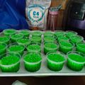 Cooksnap dari karlina untuk resep PUdiNg LuMUt HijAu