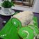 Cooksnap dari Princess Liens untuk resep Pandan roll cake