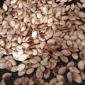El cooksnap de Luciana Depetris cuando hizo Pipas de calabaza tostadas en sartén.