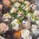 Cooksnap dari Zhef_ untuk resep Sup bakso serabut (bakso lohoa)