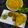 Hetal Chirag Buch's cooksnap of when they made મહીકા ના પુડલા (Mahika MahikaPudla Recipe In Gujarati).