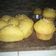 Cooksnap dari CISCA AE untuk resep Roti Manis Labu Kuning